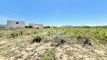 Terrains Agricoles avec Vue Panoramique sur le Canigou - Tresserre 25250 m2