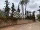 Achat/Vente: Terrain à la palmeraie, Marrakech